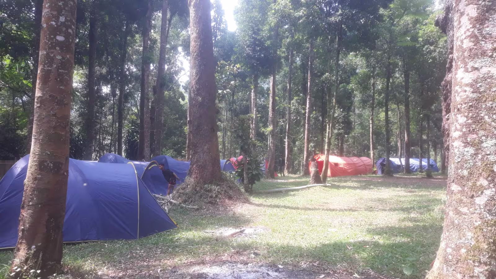 Youlien Campsite 8