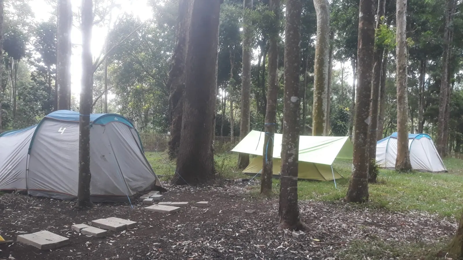 Family camping Youlien
