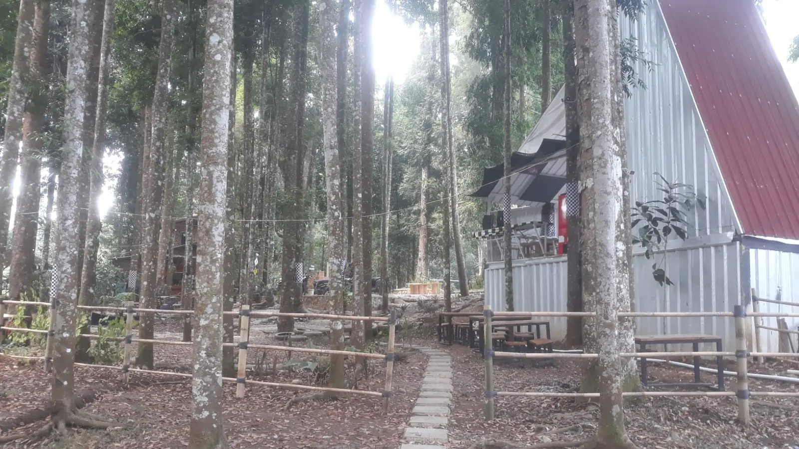 Jalur hutan di Youlien